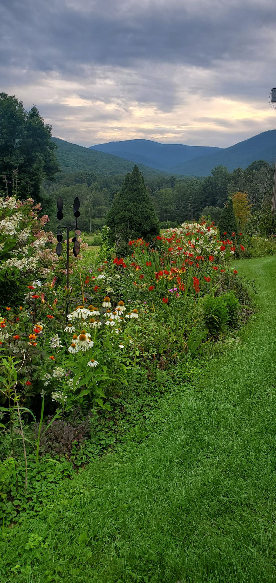 A quiet view of the property in the early morning light