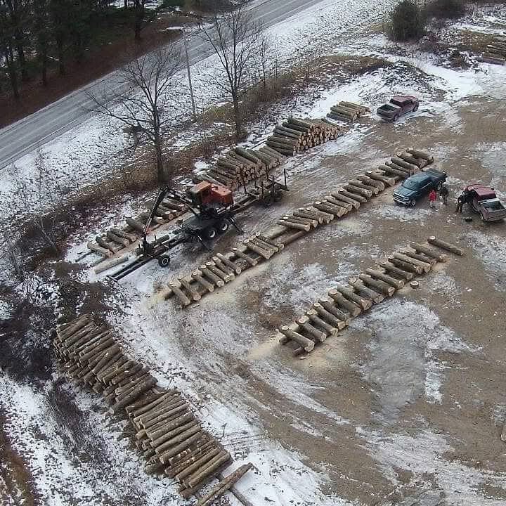 An aerial view of the log yard, decks of logs sorted across the lot